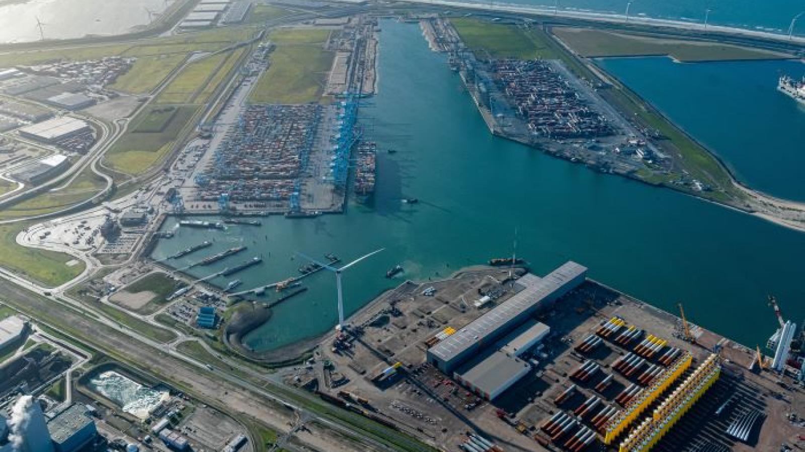 Rotterdam posts sharp drop in H1 volume provides muted full year